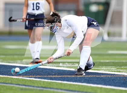 Thumbnail 2 in Irondequoit @ Brighton photogallery.
