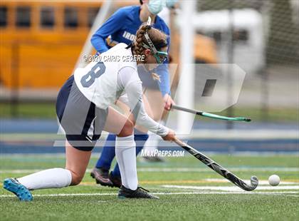 Thumbnail 2 in Irondequoit @ Brighton photogallery.