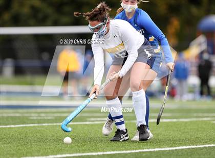 Thumbnail 2 in Irondequoit @ Brighton photogallery.