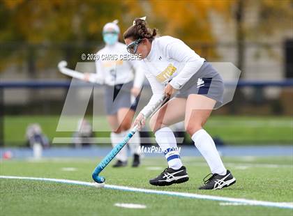 Thumbnail 2 in Irondequoit @ Brighton photogallery.