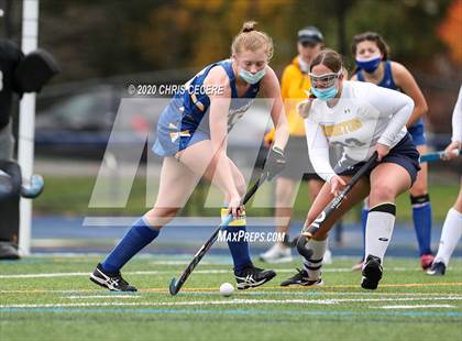 Thumbnail 3 in Irondequoit @ Brighton photogallery.