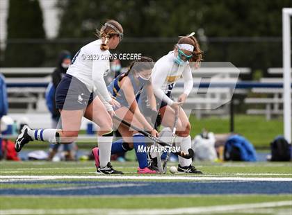 Thumbnail 3 in Irondequoit @ Brighton photogallery.