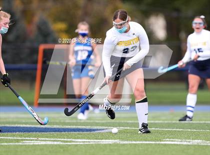 Thumbnail 2 in Irondequoit @ Brighton photogallery.