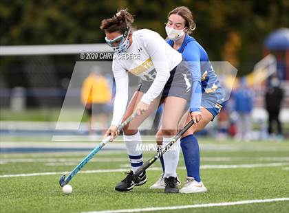 Thumbnail 1 in Irondequoit @ Brighton photogallery.