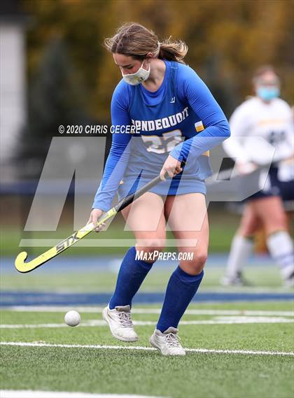 Thumbnail 1 in Irondequoit @ Brighton photogallery.