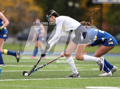 Thumbnail 2 in Irondequoit @ Brighton photogallery.