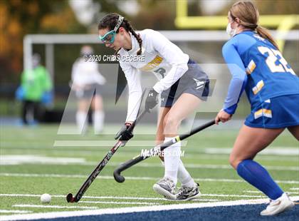 Thumbnail 1 in Irondequoit @ Brighton photogallery.