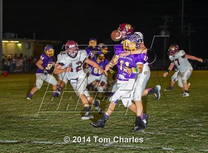 Thumbnail 1 in Whitesboro @ Farmersville photogallery.
