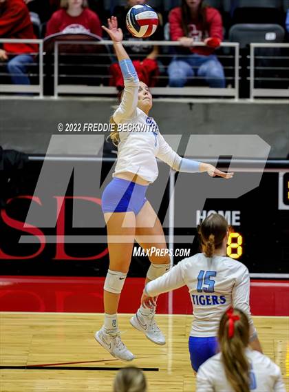Thumbnail 2 in Columbus vs. Gunter (UIL 3A Semifinal) photogallery.
