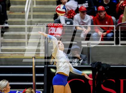 Thumbnail 2 in Columbus vs. Gunter (UIL 3A Semifinal) photogallery.