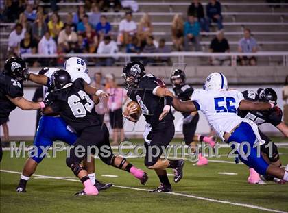 Thumbnail 2 in Bingham vs. Alta photogallery.