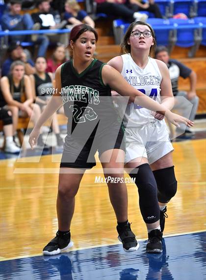 Thumbnail 2 in Cave Springs @ Braggs photogallery.