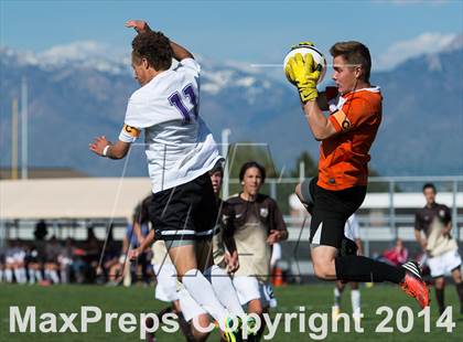 Thumbnail 2 in Davis @ Riverton (UHSAA 5A First Round) photogallery.