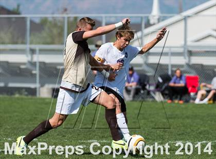 Thumbnail 3 in Davis @ Riverton (UHSAA 5A First Round) photogallery.