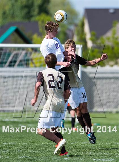 Thumbnail 1 in Davis @ Riverton (UHSAA 5A First Round) photogallery.