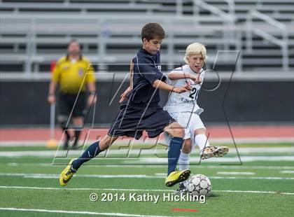 Thumbnail 3 in Avon @ Joel Barlow photogallery.