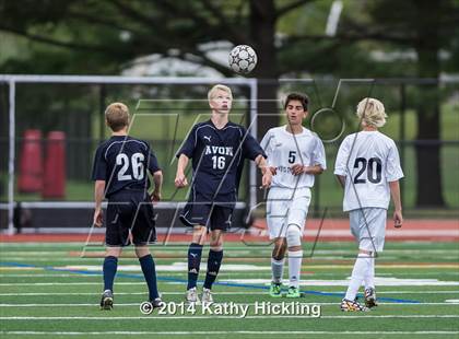 Thumbnail 3 in Avon @ Joel Barlow photogallery.