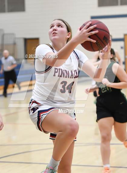 Thumbnail 3 in Basha @ Pinnacle (AIA 6A Play-In)  photogallery.