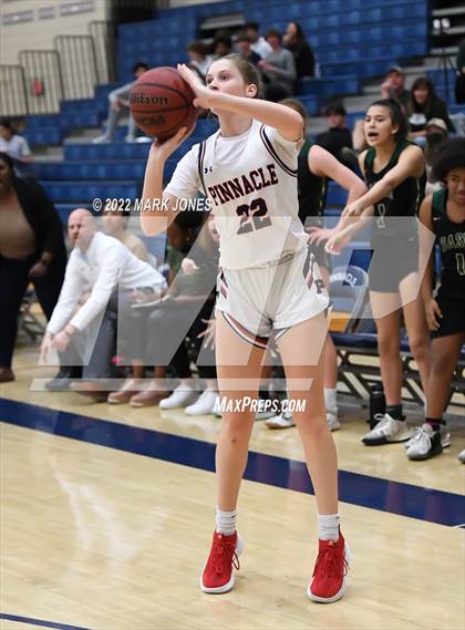 Thumbnail 3 in Basha @ Pinnacle (AIA 6A Play-In)  photogallery.