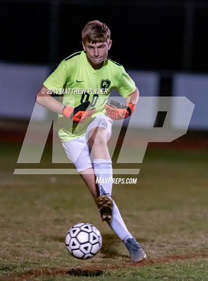 Thumbnail 1 in Pine Forest @ Terry Sanford photogallery.