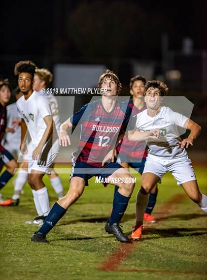 Thumbnail 3 in Pine Forest @ Terry Sanford photogallery.
