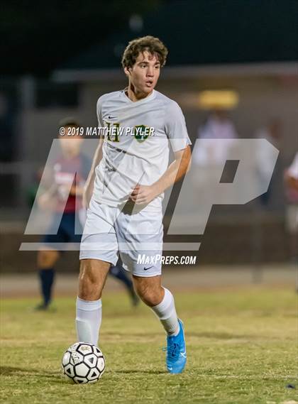Thumbnail 3 in Pine Forest @ Terry Sanford photogallery.