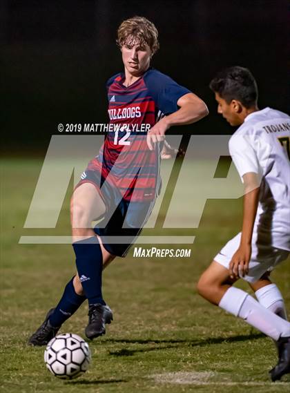 Thumbnail 1 in Pine Forest @ Terry Sanford photogallery.