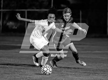 Thumbnail 1 in Pine Forest @ Terry Sanford photogallery.