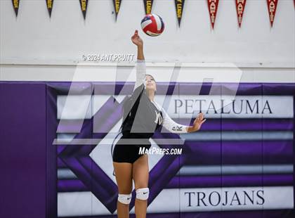 Thumbnail 2 in American Canyon @ Petaluma photogallery.