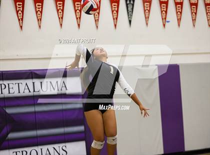 Thumbnail 3 in American Canyon @ Petaluma photogallery.
