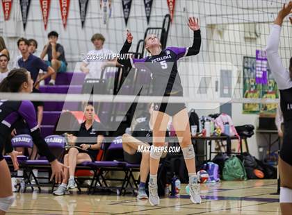 Thumbnail 3 in American Canyon @ Petaluma photogallery.