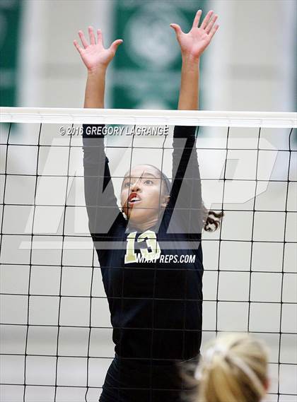 Thumbnail 2 in Mansfield @ Arlington photogallery.