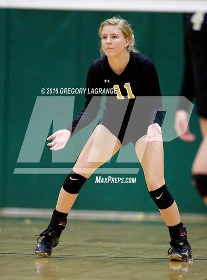 Thumbnail 3 in Mansfield @ Arlington photogallery.
