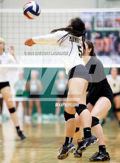 Thumbnail 1 in Mansfield @ Arlington photogallery.