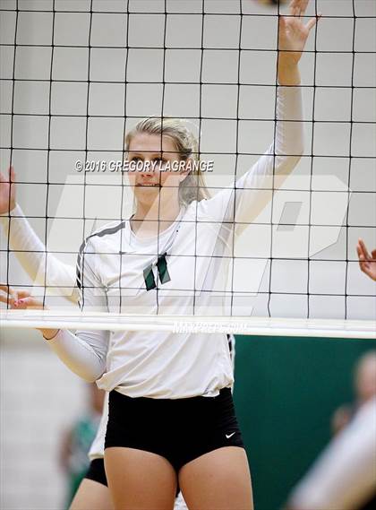 Thumbnail 3 in Mansfield @ Arlington photogallery.