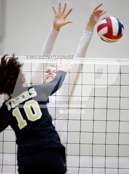 Thumbnail 3 in Mansfield @ Arlington photogallery.