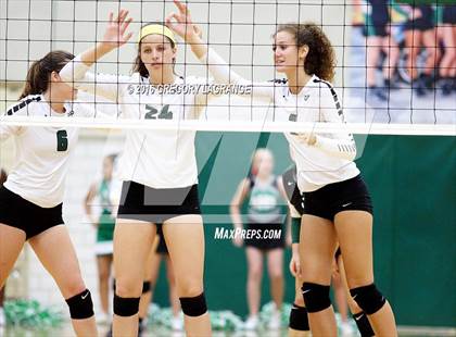 Thumbnail 3 in Mansfield @ Arlington photogallery.