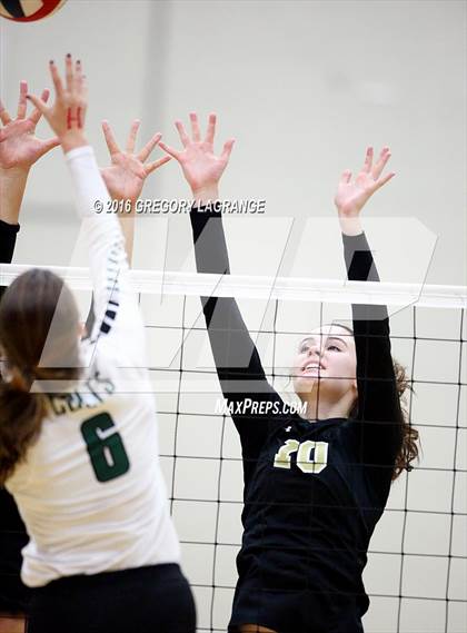 Thumbnail 3 in Mansfield @ Arlington photogallery.
