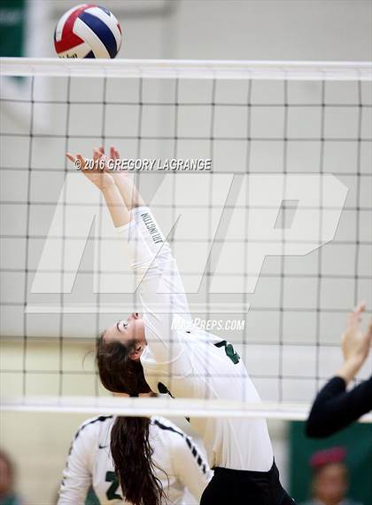 Thumbnail 1 in Mansfield @ Arlington photogallery.