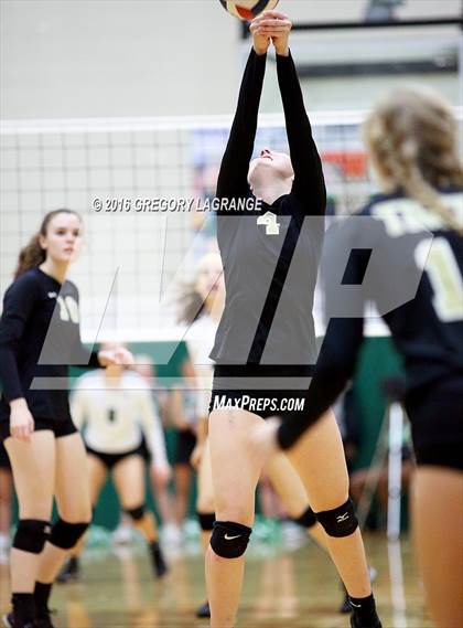 Thumbnail 3 in Mansfield @ Arlington photogallery.