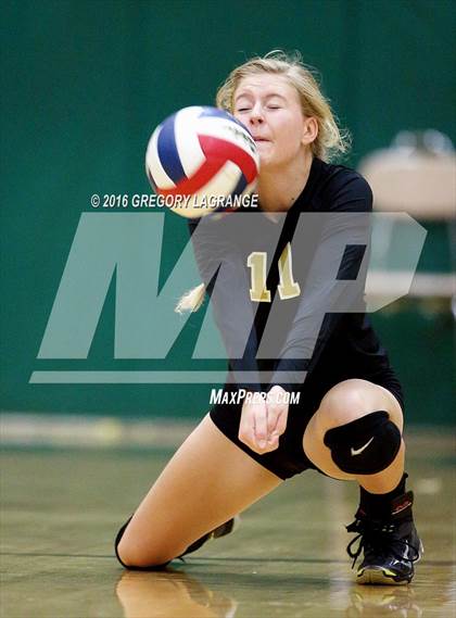 Thumbnail 1 in Mansfield @ Arlington photogallery.
