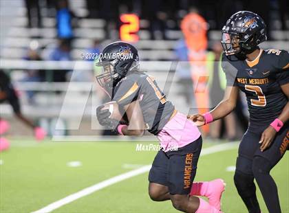 Thumbnail 2 in Tyler @ West Mesquite photogallery.