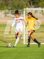 Photo from the gallery "Centennial @ Alamogordo"