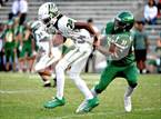 Photo from the gallery "Green Hope @ Enloe"