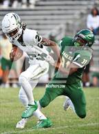Photo from the gallery "Green Hope @ Enloe"