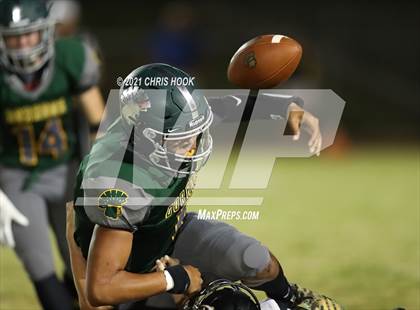 Thumbnail 2 in Apache Junction @ Canyon del Oro photogallery.