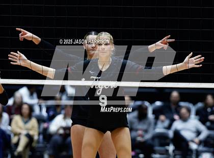 Thumbnail 2 in A&M Consolidated vs. Dallas Highland Park (UIL 5A D2 Volleyball Final) photogallery.