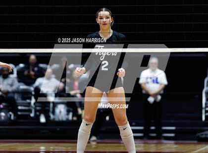 Thumbnail 1 in A&M Consolidated vs. Dallas Highland Park (UIL 5A D2 Volleyball Final) photogallery.