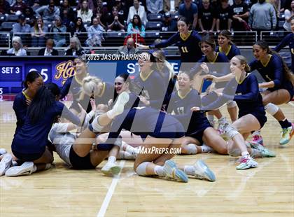 Thumbnail 1 in A&M Consolidated vs. Dallas Highland Park (UIL 5A D2 Volleyball Final) photogallery.