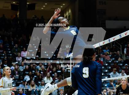 Thumbnail 1 in A&M Consolidated vs. Dallas Highland Park (UIL 5A D2 Volleyball Final) photogallery.
